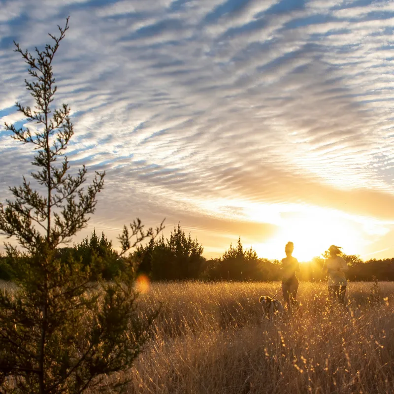 Sun rising in the morning