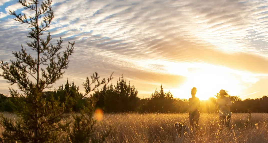 Sun rising in the morning