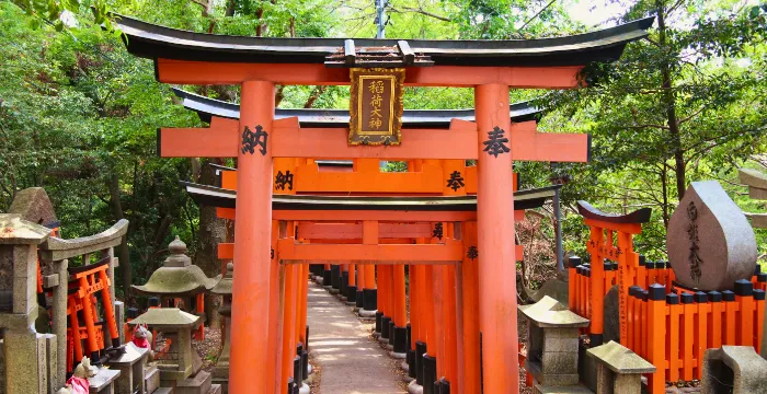 A vibrant, seemingly endless pathway of thousands of bright vermilion torii gates at Fushimi Inari Shrine, creating a tunnel-like effect with sunlight filtering through the dense wooden columns.