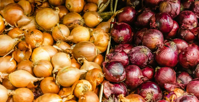 Raw yellow and red onions